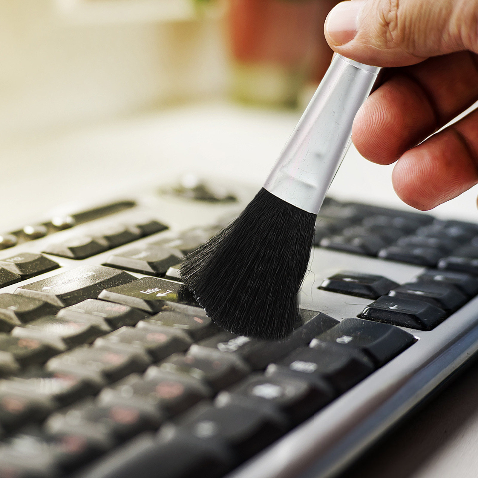 1 zestaw lekkich szczoteczek d – Brush Bristle Set recenzja i cena